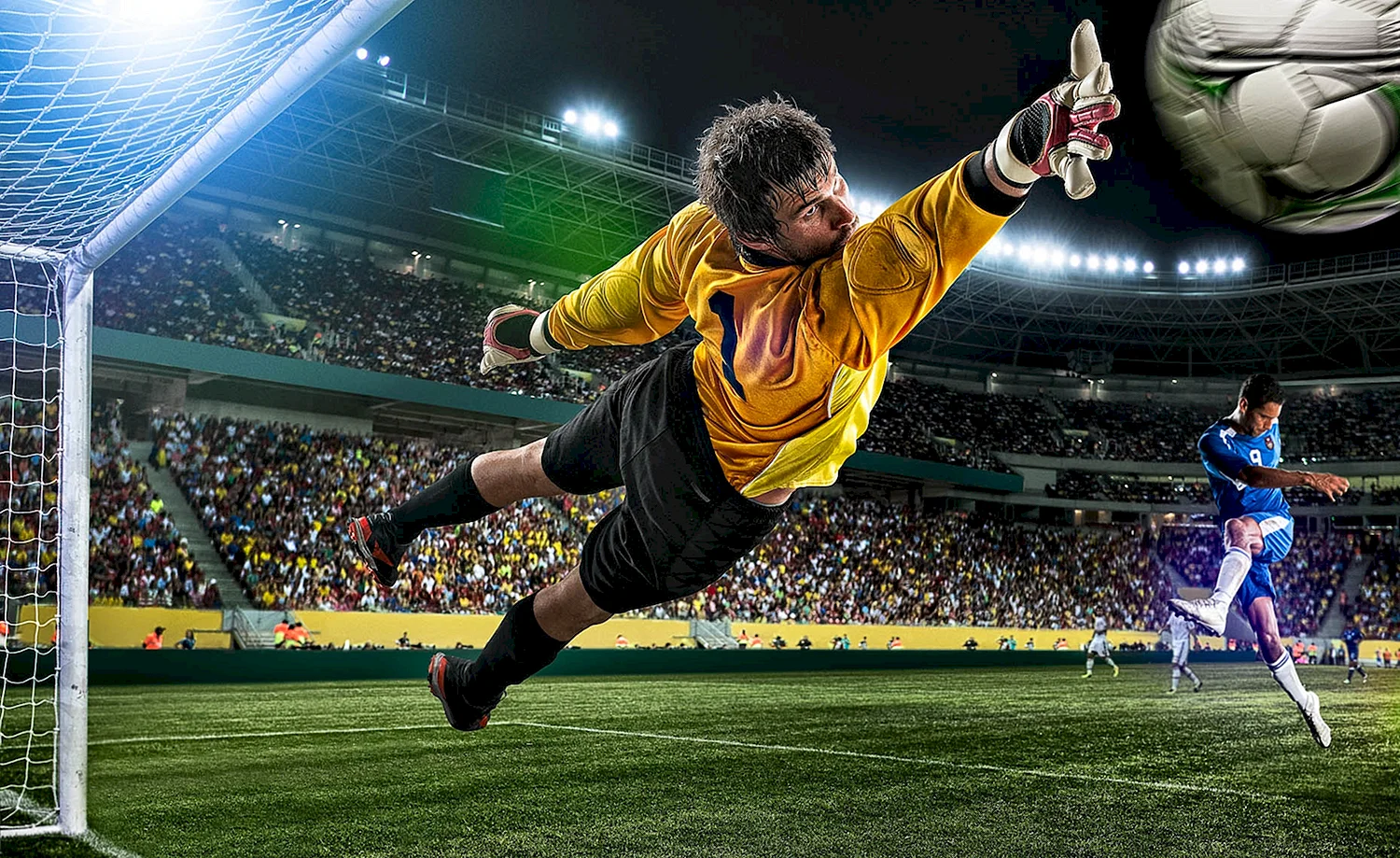 Explorez le football comme jamais auparavant : visites et excursions sur le football